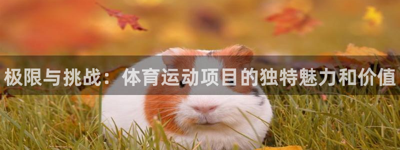 JJB竞技宝官方正版app官网:极限与挑战:体育运动项目的独