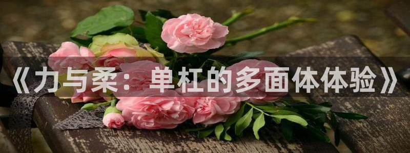 JJB竞技宝官方正版app官方:《力与柔:单杠的多面体体验》