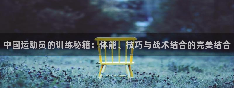 JJB竞技宝官网下载招商:中国运动员的训练秘籍:体能、技巧与